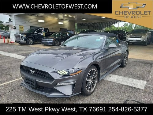 2019 Ford Mustang EcoBoost
